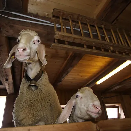 Haus Sonneck * 尼德泰