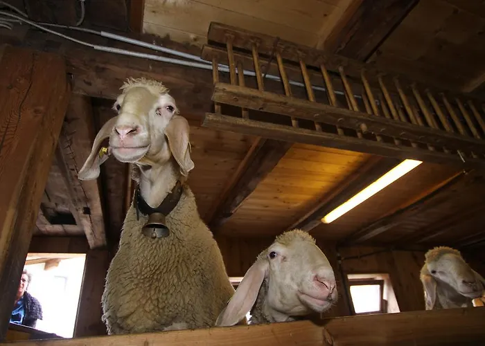 Haus Sonneck * Niederthai