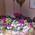 Haus Sonneck Διαμέρισμα Niederthai