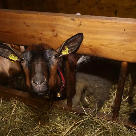 Haus Sonneck * 니더타이