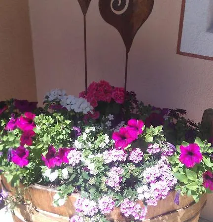 Haus Sonneck 아파트 니더타이